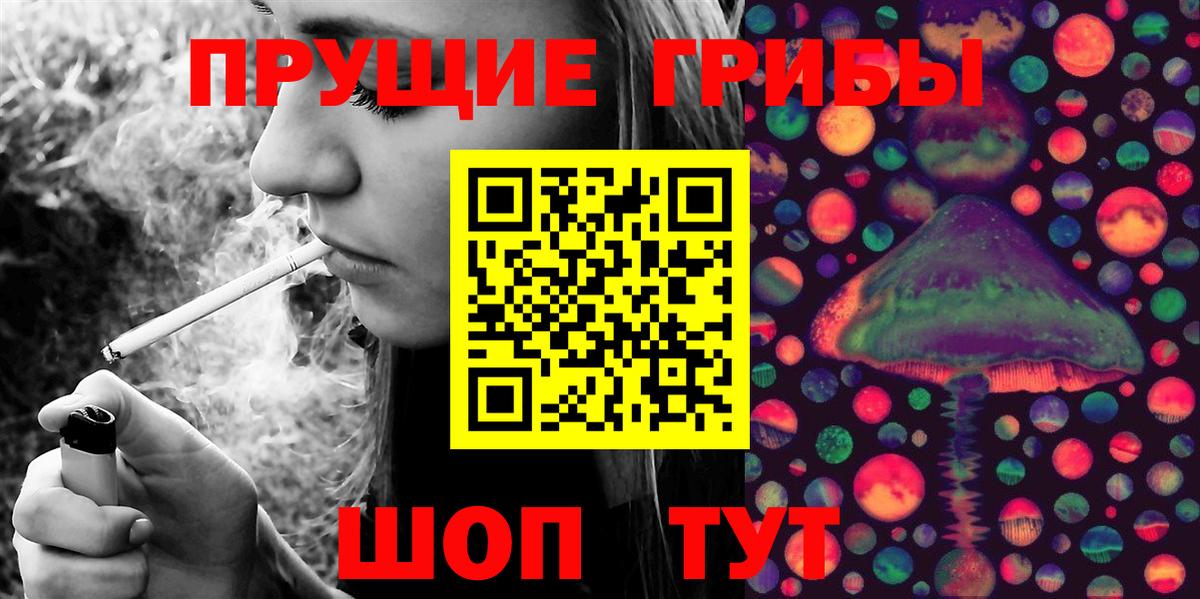 Галлюциногенные грибы Cubensis Киров